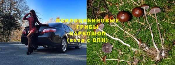 тгк Алексин