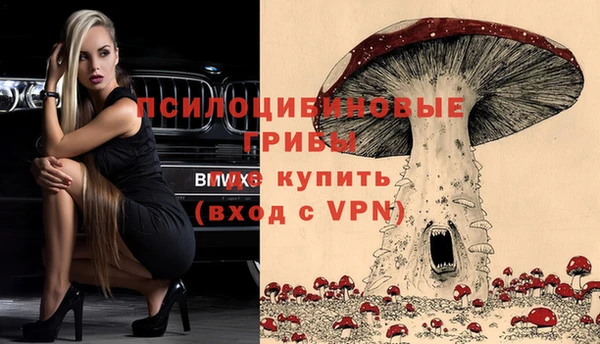 тгк Алексин