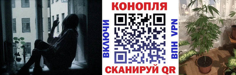 блэк спрут как зайти  Нюрба  Бошки Шишки White Widow  что такое  
